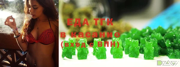 дмт Бородино