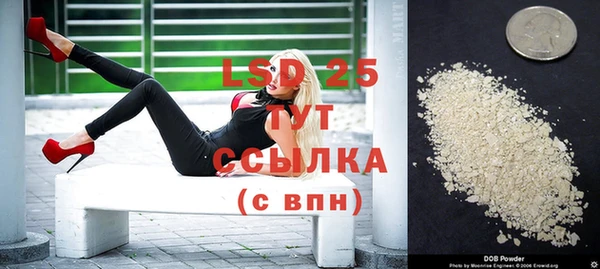 дмт Бородино